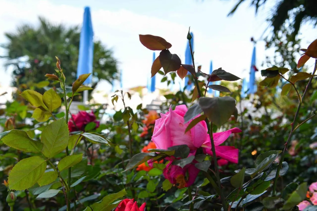 Hotel Majestic Lido di Jesolo 4*,  Italy